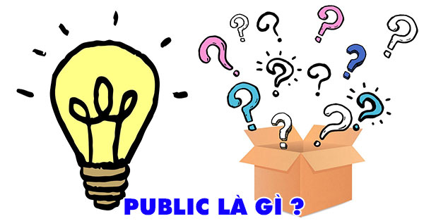 Hướng dẫn Public Là Gì? Giải Thích Public Trên Facebook & Trong Tiếng Anh #1