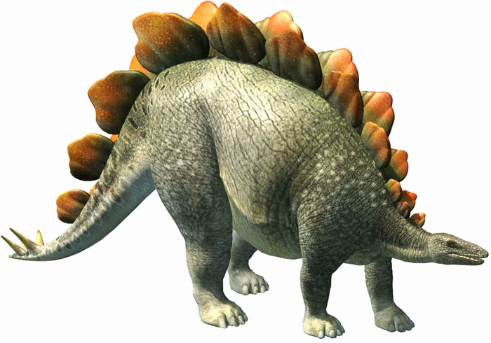 Ảnh khủng long Stegosaurus
