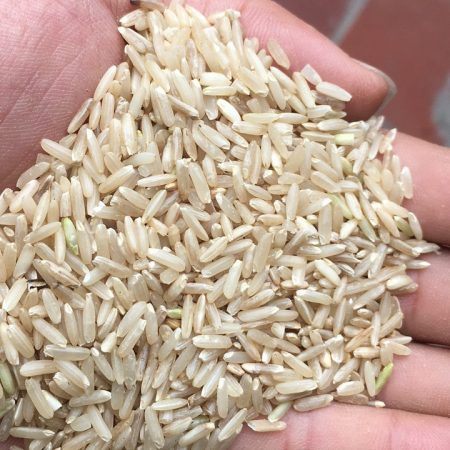 Gạo lứt nào tốt nhất? 3 loại gạo lứt nổi tiếng trên thị trường